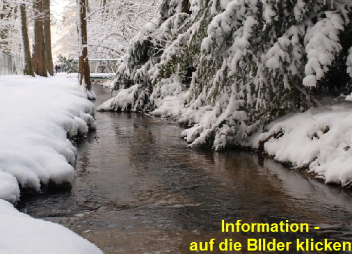 2010.12.18 Schnee in Dnnwald mit Bri-Sim-Mar (116)